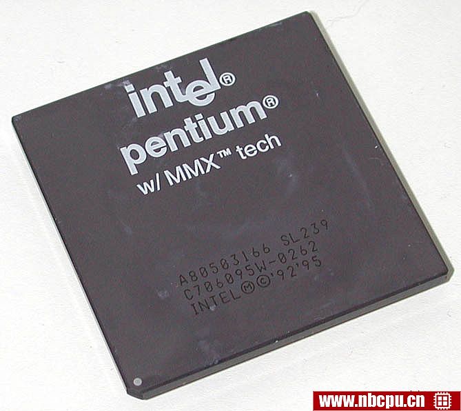 Intel Pentium MMX 166 - A80503166